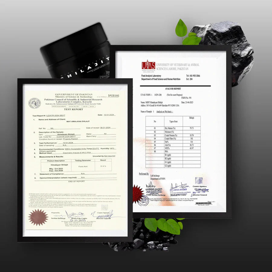 Premium Himalayan Shilajit - 100% Pure and Organic Resin